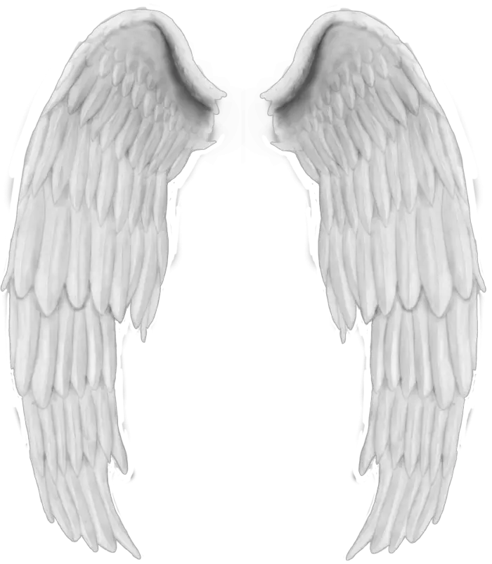 Angels Wing Png