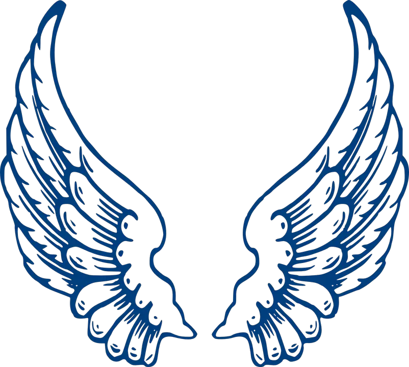 Angel Wings With Outline Png