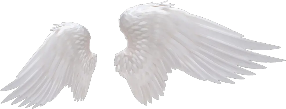 Angel Wings White Png
