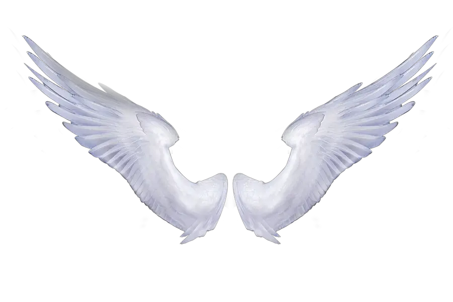 Angel Wings Tumblr Png