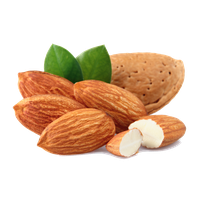 Almond Free Download Png