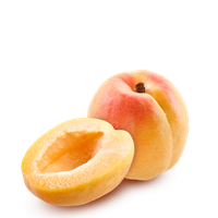 Apricot Transparent