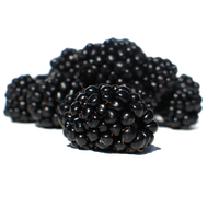 Blackberry Fruit Png