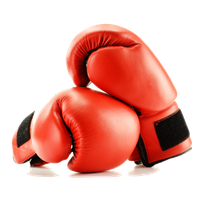 Boxing Gloves Png Picture