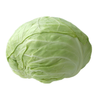 Cabbage Png Picture