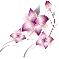Flowers Png