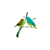 Love Birds Transparent