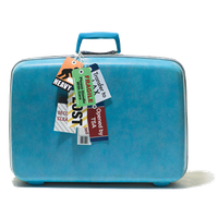 Luggage Png