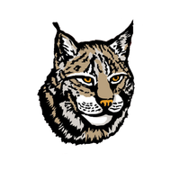 Lynx Png Image