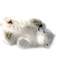 Polar Bear Picture