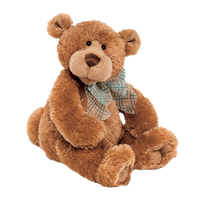 Teddy Bear Transparent
