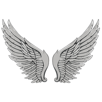Wings Tattoos Png