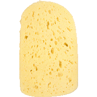 Cheese Png Image
