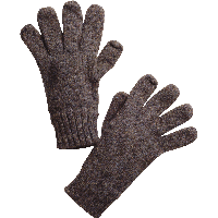 Winter Gloves Png Image