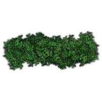 Bushes Png Pic