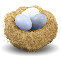 Nest Png Picture