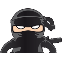 Ninja Png Picture