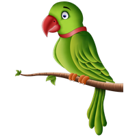 Parrot Png Pic