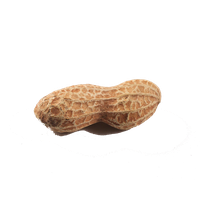 Peanut Png Clipart