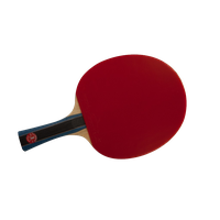 Ping Pong Transparent