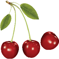 Cherries Png Image