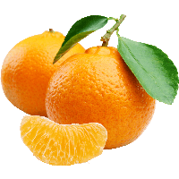 Orange Png Image Download