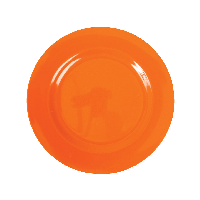 Ornage Plate Dish Png Image