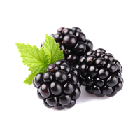 Blackberry Fruit Free Download Png