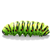 Caterpillar Transparent