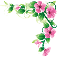 Flowers Borders Png Image