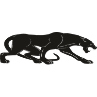 Panther Png Pic
