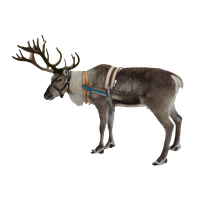 Reindeer Free Png Image