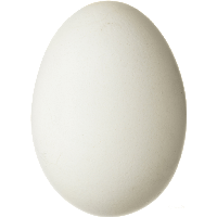 Egg Png Image