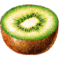 Kiwi Png Image Fruit Kiwi Png Pictures Download