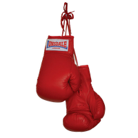 Boxing Gloves Download Png