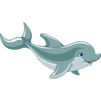 Dolphin Png Hd