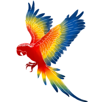 Macaw Png Image