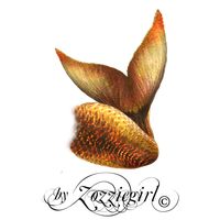 Mermaid Tail Png Clipart
