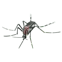 Mosquito Png File