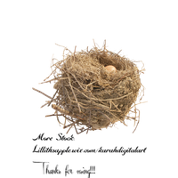 Nest Free Png Image