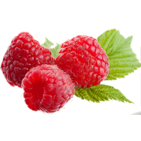 Raspberry Png File