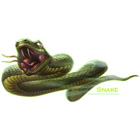 Snake Png Clipart