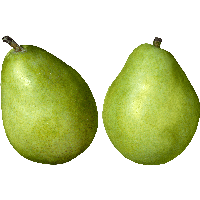 Green Pears Png Image