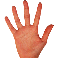 Palm Hands Png Hand Image 