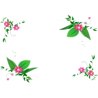 Flowers Borders Free Download Png