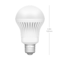 Light Bulb Transparent