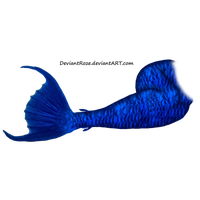 Mermaid Tail Png Picture
