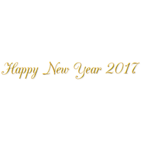 New Year 2017 Png (5)