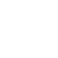 White Snowflake Png Image