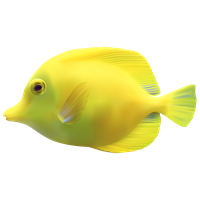 Fish Png 15